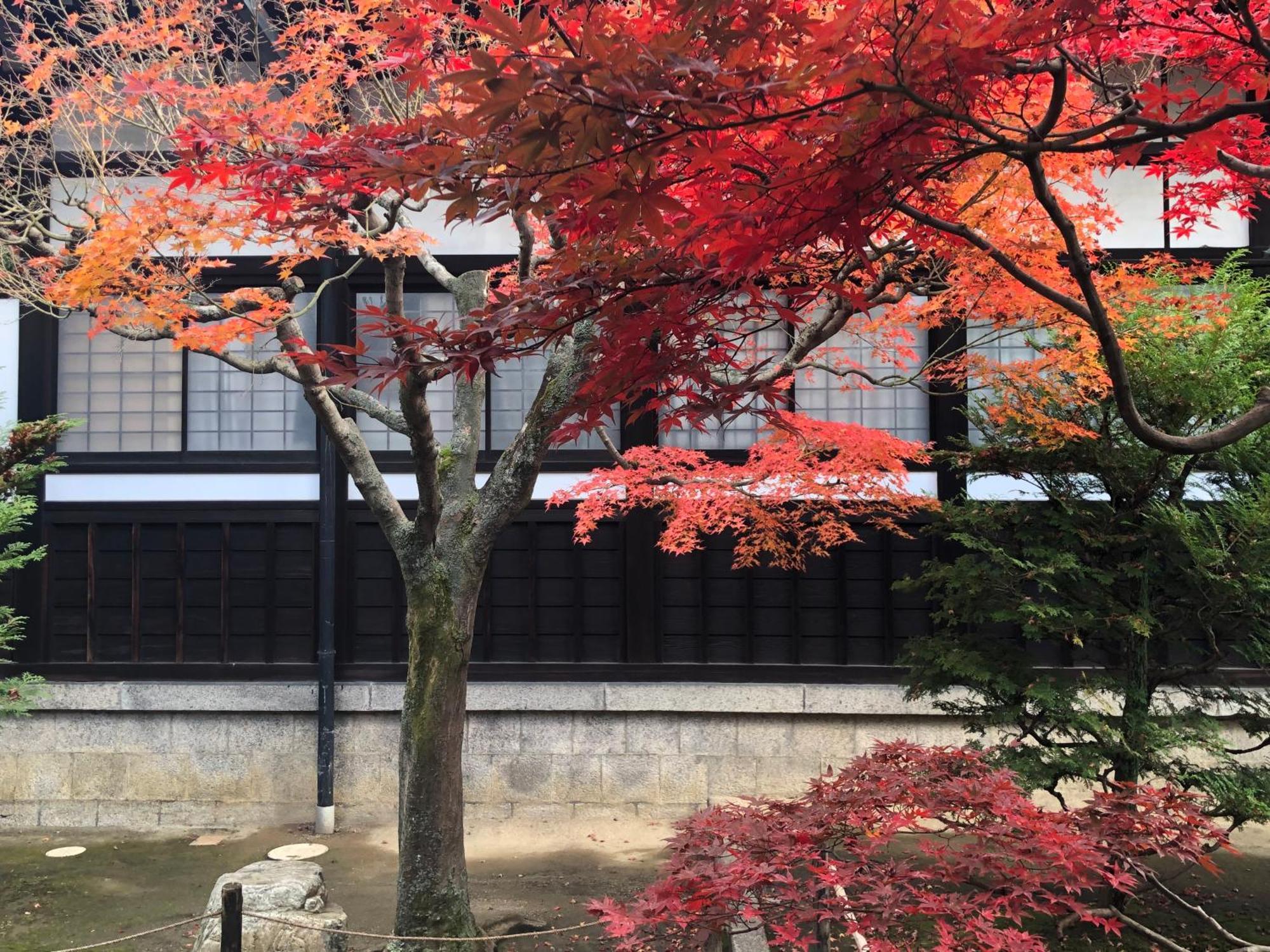 Inari-Home เกียวโต ภายนอก รูปภาพ