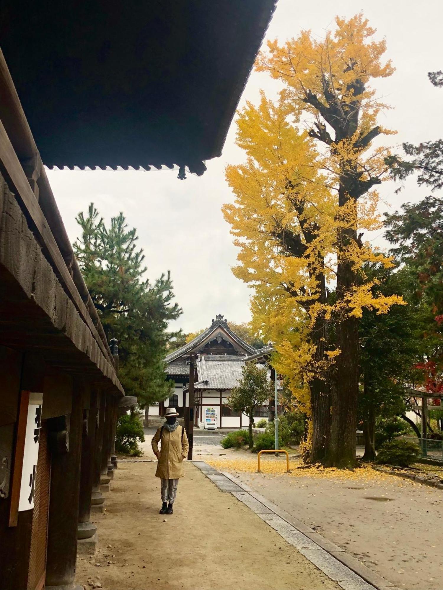Inari-Home เกียวโต ภายนอก รูปภาพ