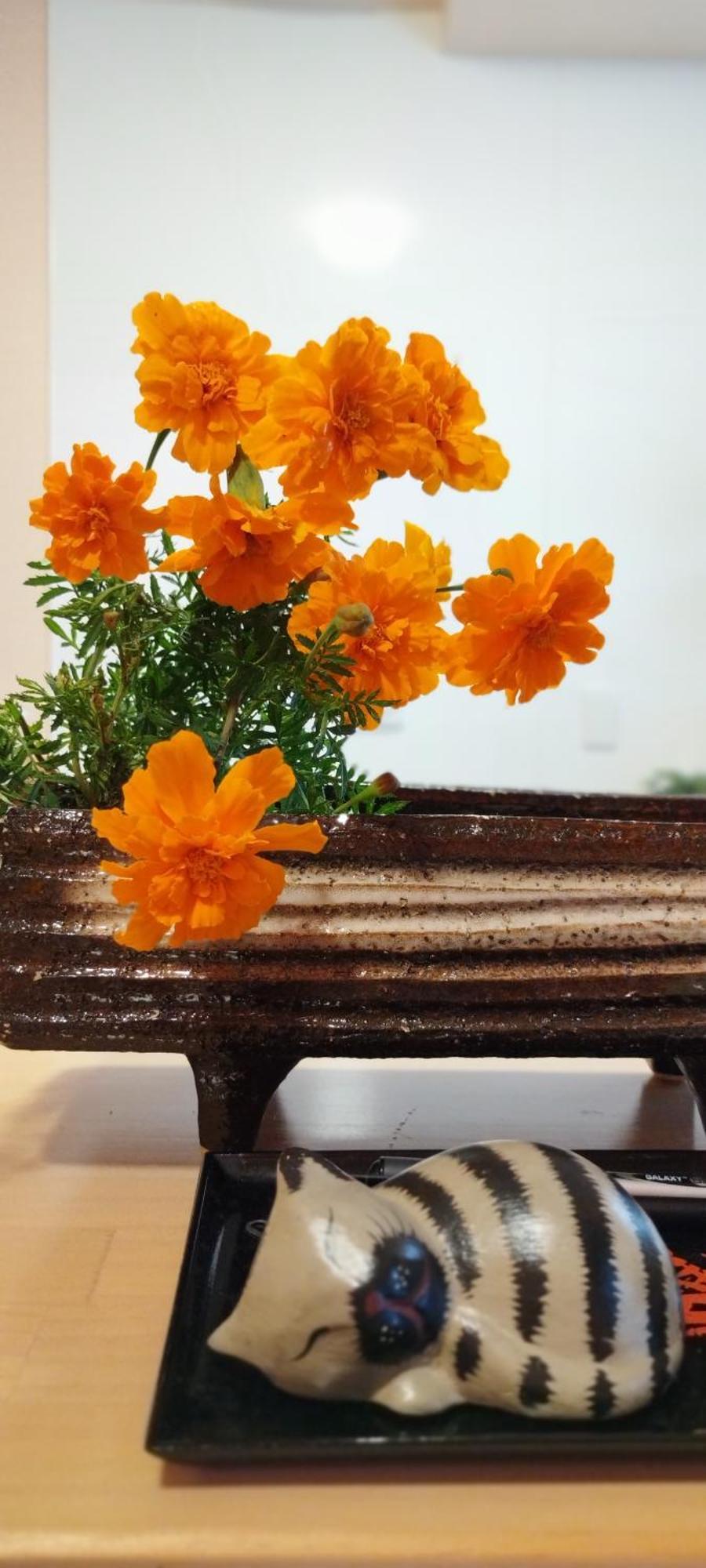 Inari-Home เกียวโต ภายนอก รูปภาพ